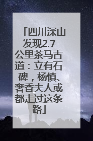 四川深山发现2.7公里茶马古道：立有石碑，杨慎、奢香夫人或都走过这条路