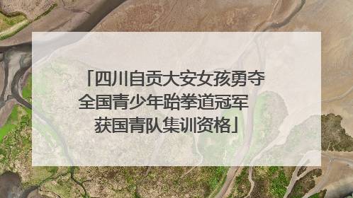 四川自贡大安女孩勇夺全国青少年跆拳道冠军 获国青队集训资格