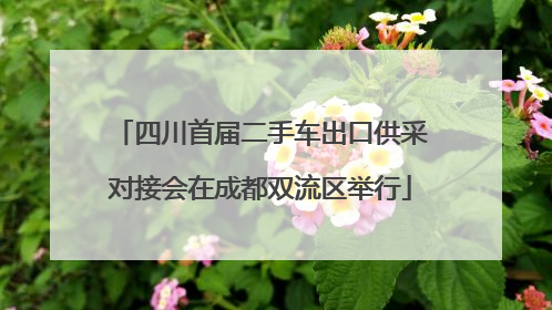 四川首届二手车出口供采对接会在成都双流区举行