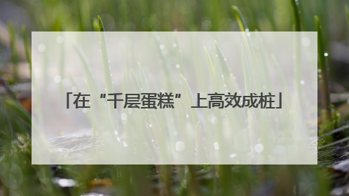 在“千层蛋糕”上高效成桩