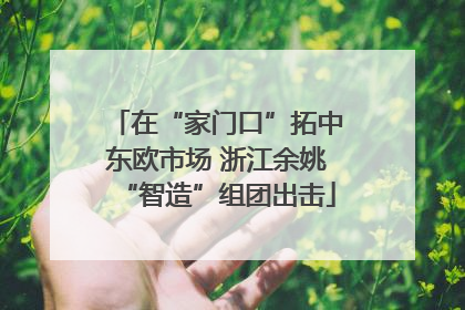在“家门口”拓中东欧市场 浙江余姚“智造”组团出击