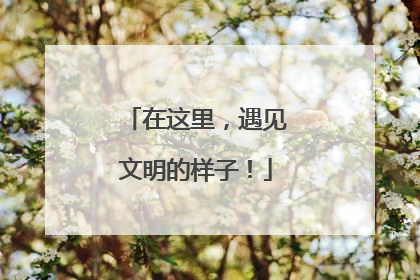 在这里，遇见文明的样子！