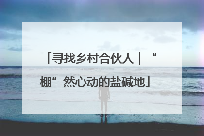 寻找乡村合伙人｜“棚”然心动的盐碱地