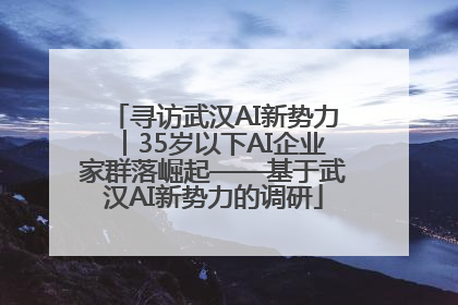 寻访武汉AI新势力︱35岁以下AI企业家群落崛起——基于武汉AI新势力的调研