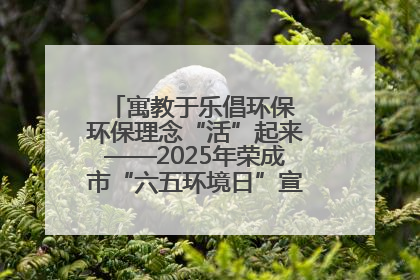 寓教于乐倡环保 环保理念“活”起来——2025年荣成市“六五环境日”宣传活动圆满举行