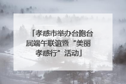 孝感市举办台胞台属端午联谊暨“美丽孝感行”活动