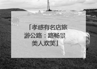 孝感有名店旅游公路：路畅景美人欢笑