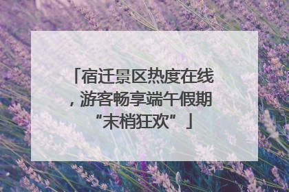 宿迁景区热度在线，游客畅享端午假期“末梢狂欢”
