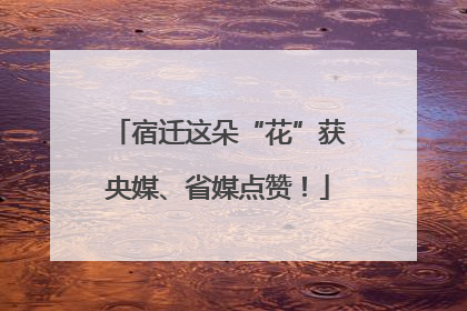 宿迁这朵“花”获央媒、省媒点赞！