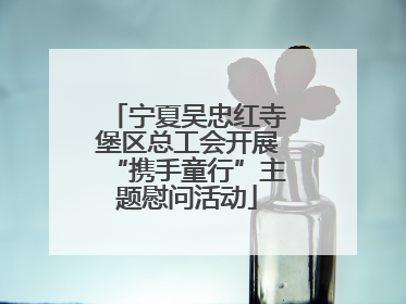 宁夏吴忠红寺堡区总工会开展“携手童行”主题慰问活动