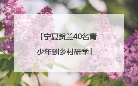 宁夏贺兰40名青少年到乡村研学