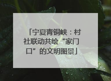 宁夏青铜峡：村社联动共绘“家门口”的文明图景