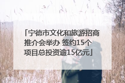 宁德市文化和旅游招商推介会举办 签约15个项目总投资逾15亿元