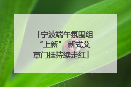 宁波端午氛围组“上新” 新式艾草门挂持续走红