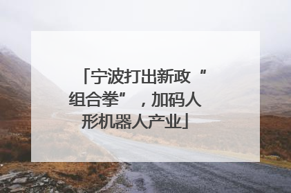 宁波打出新政“组合拳”，加码人形机器人产业