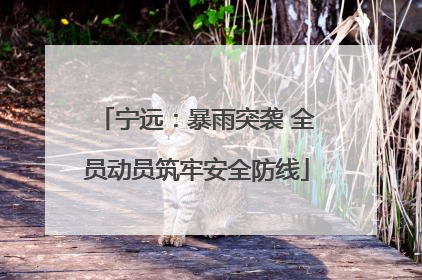 宁远：暴雨突袭 全员动员筑牢安全防线