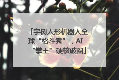 宇树人形机器人全球“格斗秀”，AI“拳王”硬核破圈