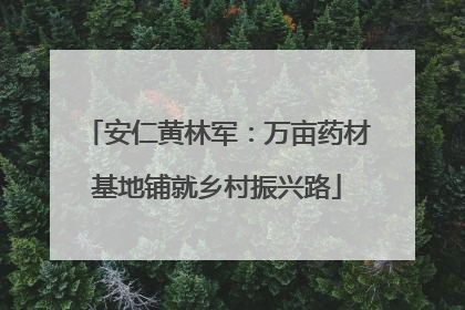 安仁黄林军：万亩药材基地铺就乡村振兴路