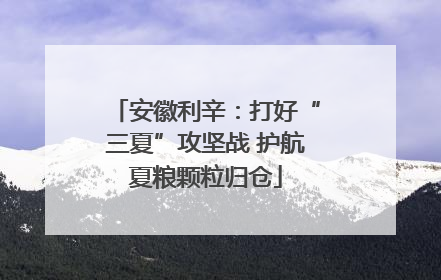 安徽利辛：打好“三夏”攻坚战 护航夏粮颗粒归仓