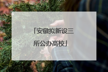安徽拟新设三所公办高校