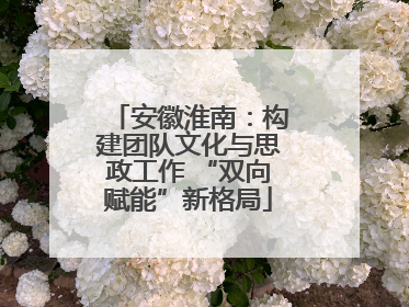 安徽淮南：构建团队文化与思政工作 “双向赋能”新格局
