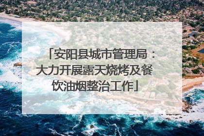安阳县城市管理局:大力开展露天烧烤及餐饮油烟整治工作