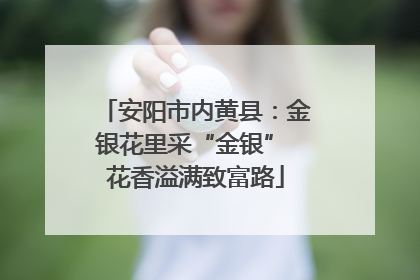 安阳市内黄县：金银花里采“金银” 花香溢满致富路