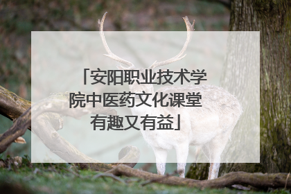 安阳职业技术学院中医药文化课堂有趣又有益