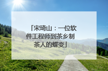 宋琦山：一位软件工程师到茶乡制茶人的蝶变
