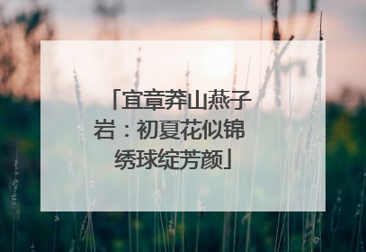宜章莽山燕子岩：初夏花似锦 绣球绽芳颜