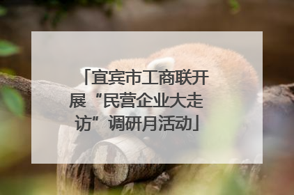 宜宾市工商联开展“民营企业大走访”调研月活动