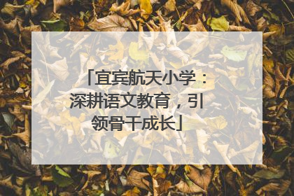 宜宾航天小学：深耕语文教育，引领骨干成长