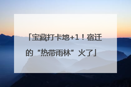 宝藏打卡地+1！宿迁的“热带雨林”火了