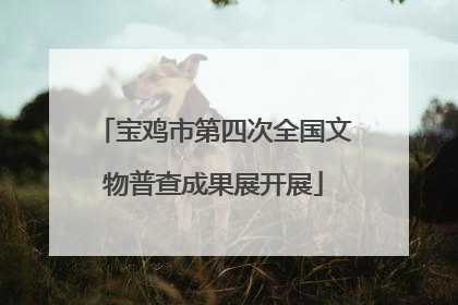 宝鸡市第四次全国文物普查成果展开展