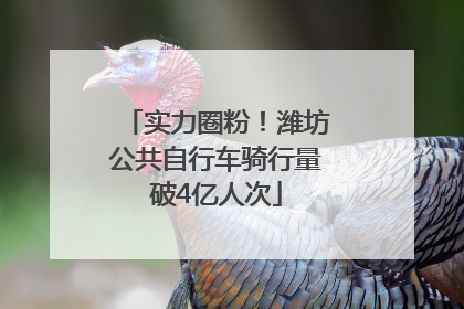 实力圈粉！潍坊公共自行车骑行量破4亿人次