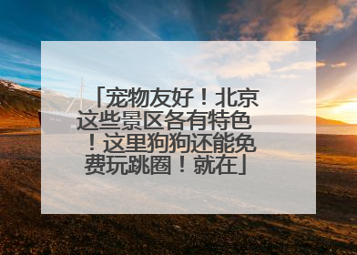 宠物友好！北京这些景区各有特色！这里狗狗还能免费玩跳圈！就在
