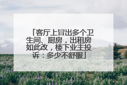 客厅上冒出多个卫生间、厨房，出租房如此改，楼下业主投诉：多少不舒服