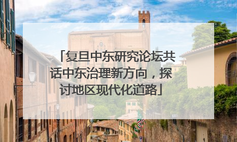复旦中东研究论坛共话中东治理新方向，探讨地区现代化道路