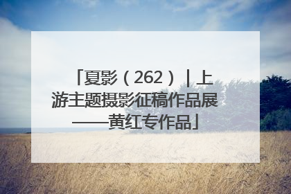 夏影（262）｜上游主题摄影征稿作品展——黄红专作品