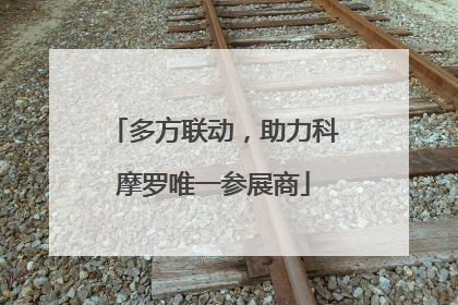 多方联动，助力科摩罗唯一参展商