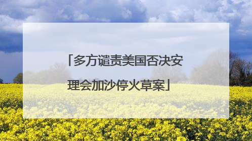 多方谴责美国否决安理会加沙停火草案