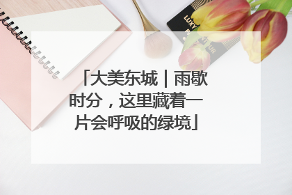 大美东城｜雨歇时分，这里藏着一片会呼吸的绿境
