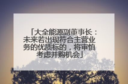 大全能源副董事长：未来若出现符合主营业务的优质标的，将审慎考虑并购机会