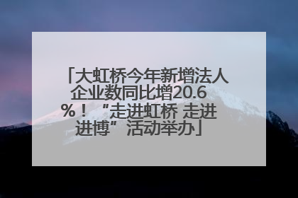 大虹桥今年新增法人企业数同比增20.6%！“走进虹桥 走进进博”活动举办
