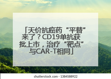 天价抗癌药“平替”来了？CD19单抗获批上市，治疗“靶点”与CAR-T相同
