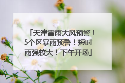 天津雷雨大风预警！5个区暴雨预警！短时雨强较大！下午开场