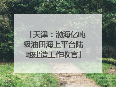 天津：渤海亿吨级油田海上平台陆地建造工作收官