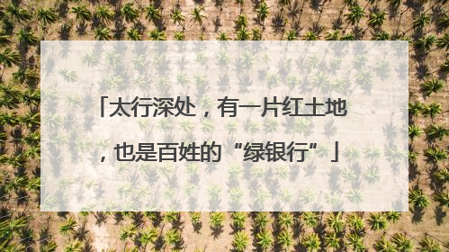 太行深处，有一片红土地，也是百姓的“绿银行”