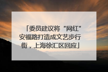 委员建议将“网红”安福路打造成文艺步行街，上海徐汇区回应