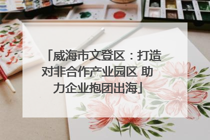 威海市文登区：打造对非合作产业园区 助力企业抱团出海